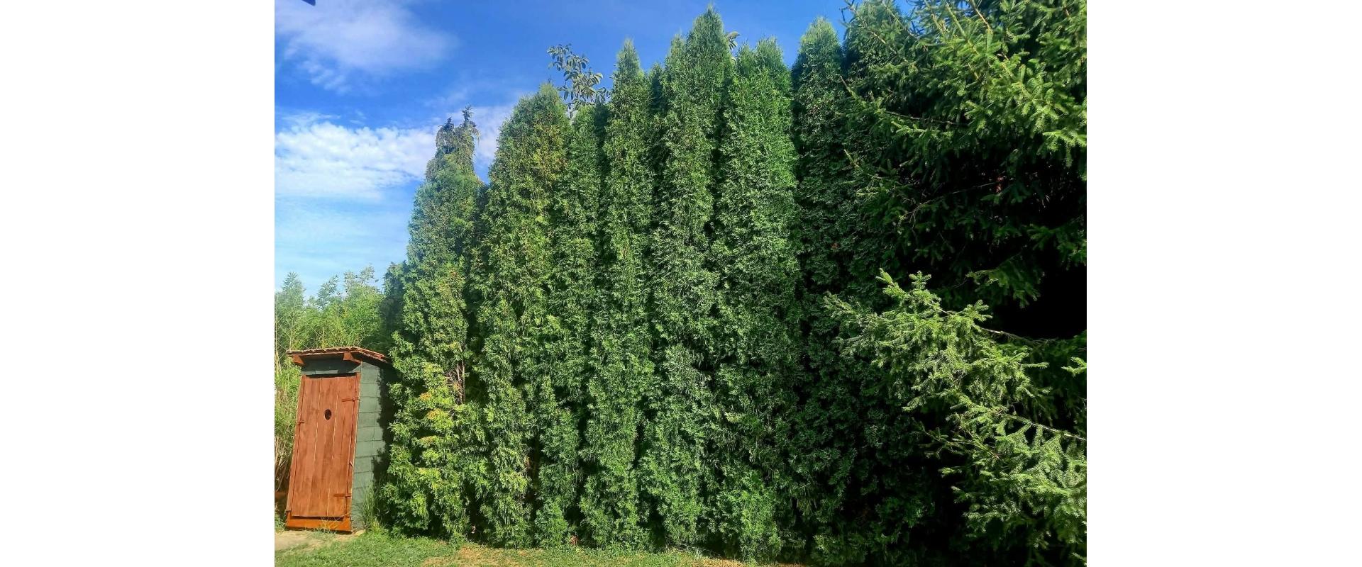 Rodinný dom na predaj – Nová Ves nad Žitavou