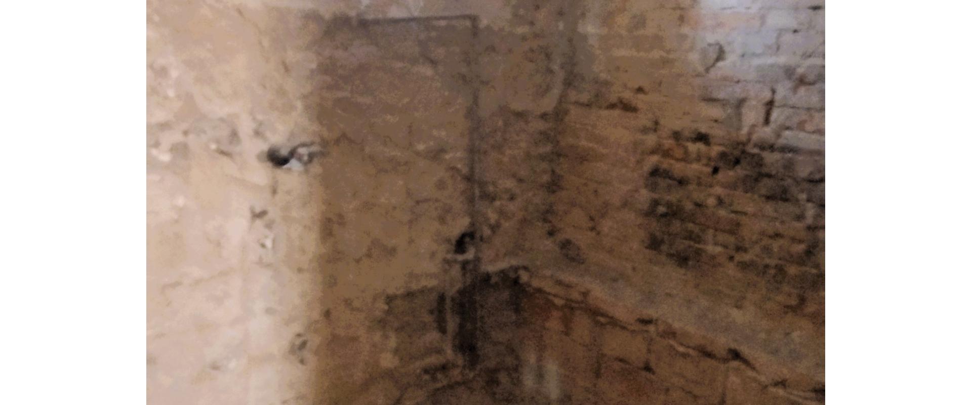 Rodinný dom s obrovským potenciálom a pozemkom (2 000 m²) v Nižnom Hrušove