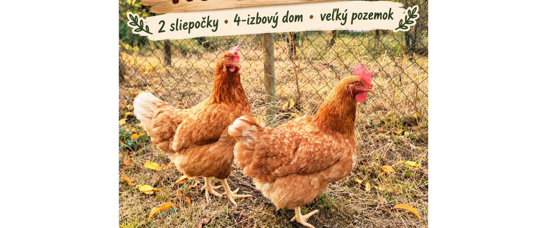 Dve sliepočky, veľký pozemok a 4-izbový dom / Jastrabie pri Michalovciach
