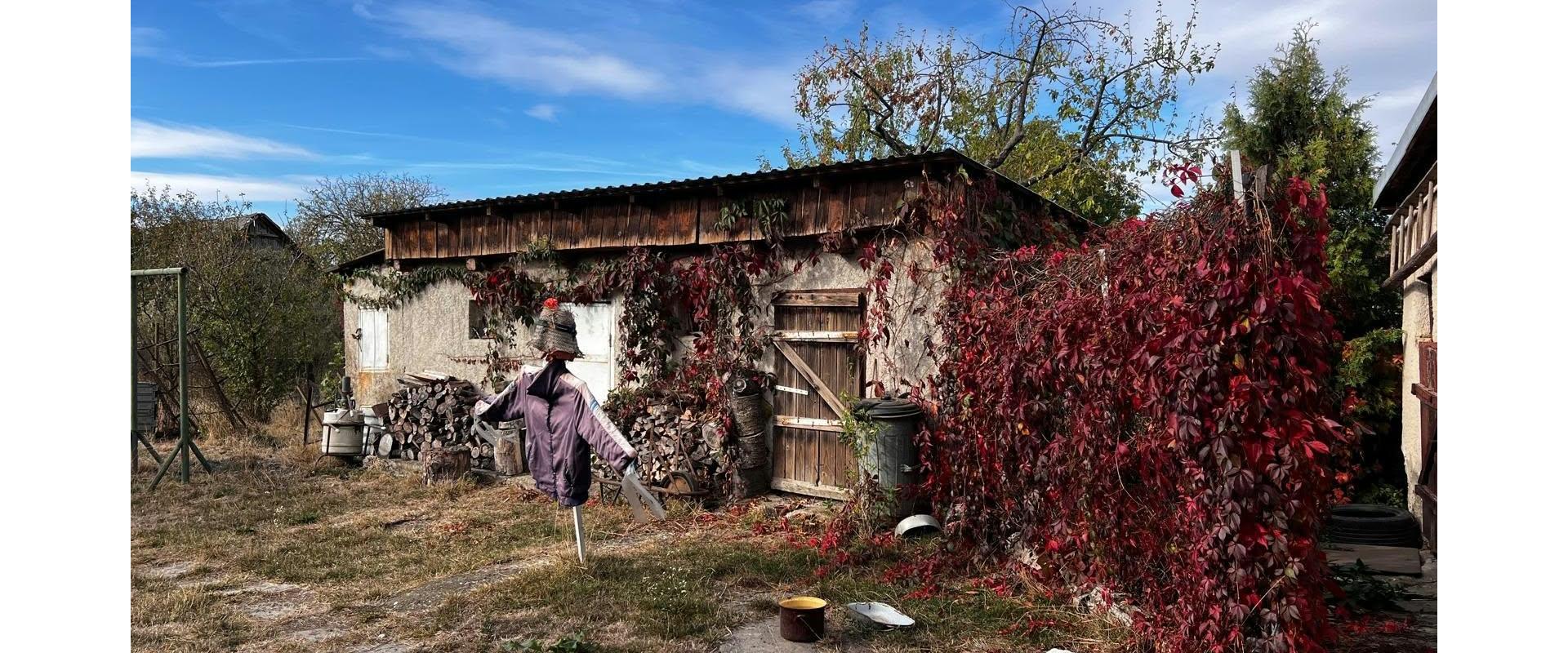Dve sliepočky, veľký pozemok a 4-izbový dom / Jastrabie pri Michalovciach