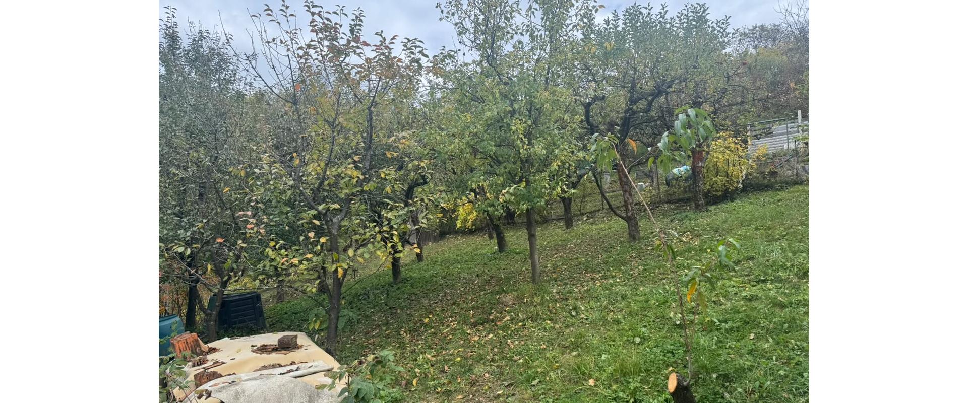 Pekná záhrada s chatkou v osade Kalsové