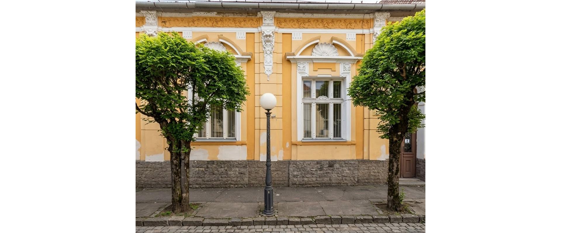 Na predaj nehnuteľnosť v Lučenci s potenciálom na podnikanie.