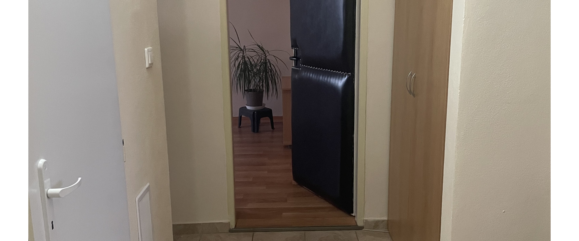 3 izbový byt skoro v srdci Levíc