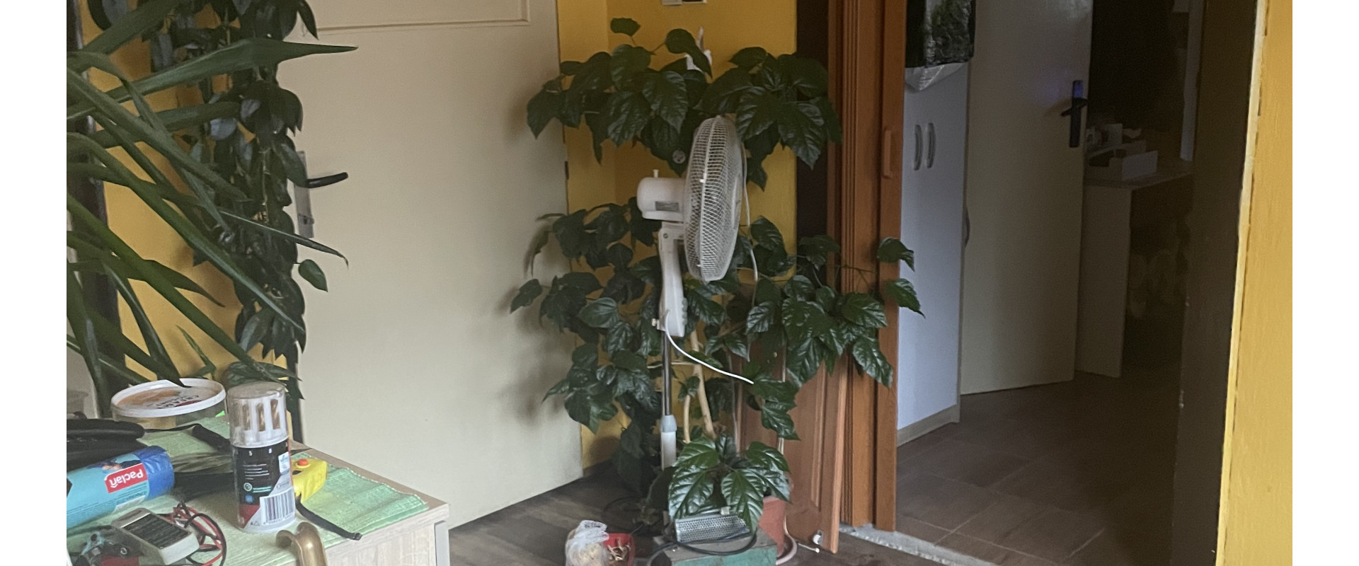 Priestranný dom Hokovce