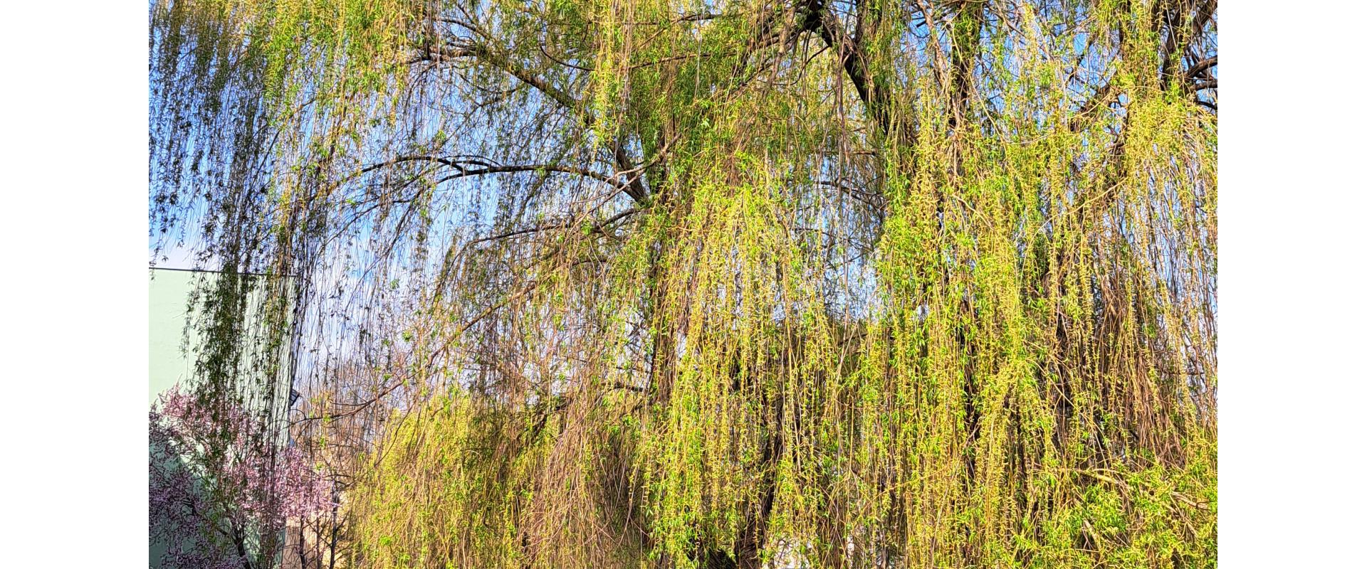 Exkluzívne!Veľký 3-izb. byt v lukratívnej lokalite D.Stredy