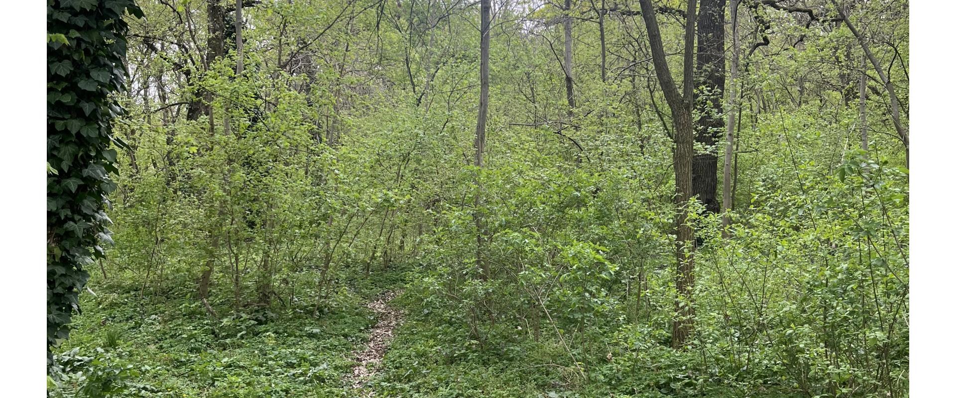 INVESTIČNÝ POZEMOK 473 m2 - Matúškovo