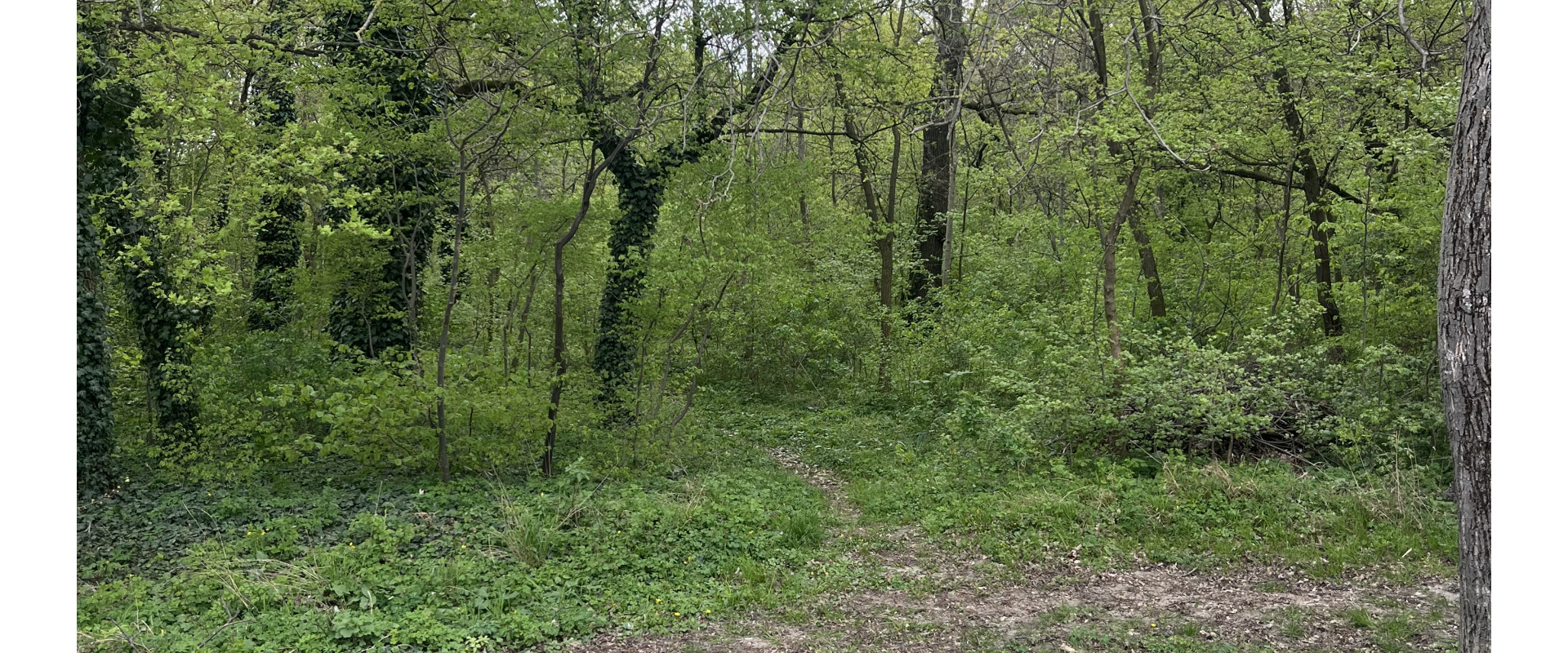 INVESTIČNÝ POZEMOK 473 m2 - Matúškovo