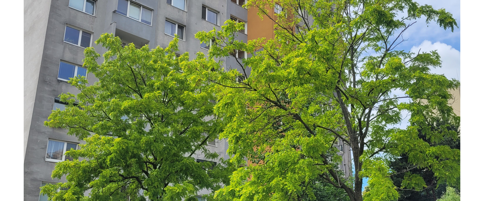 Predaj 1 izbového bytu so samostatnou kuchyňou, Dúbravka