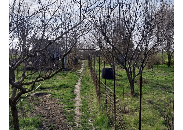 NA PREDAJ ZÁHRADA V PEZINKU