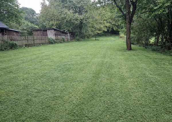 Na predaj pozemky o výmere - 2197 m² + 1253 m² v obci Kečkovce - okres Svidník.