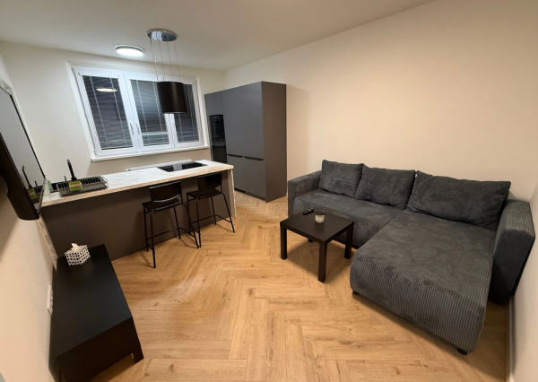 Prenájom 1,5 izbového novozrekonštruovaného bytu, Istrijská