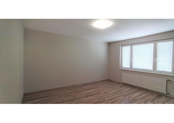 1 izbový byt prenájom