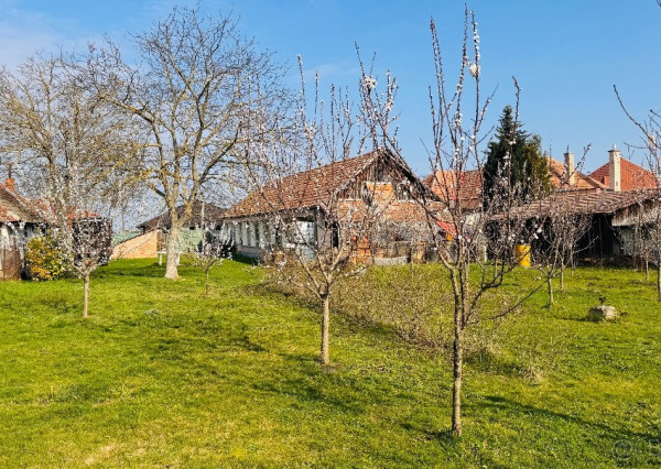 VIDIECKY DOM S DUŠOU + INVESTIČNÝ POZEMOK 1443 m² | BRANČ