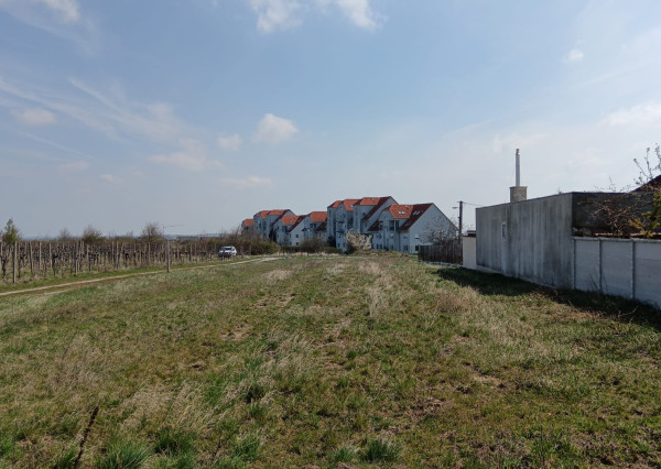 Na predaj pozemok v Modre Kráľovej