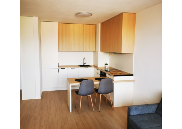 Na prenájom 2- izbový byt v novostavbe