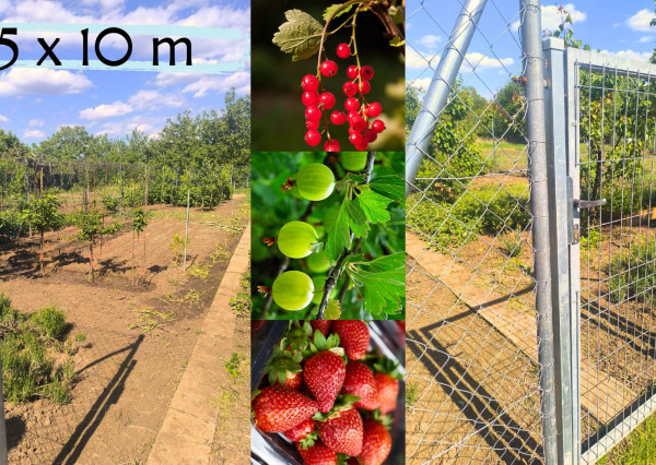 Krásna oplotená záhrada na predaj – bylinky, ovocie, zelenina