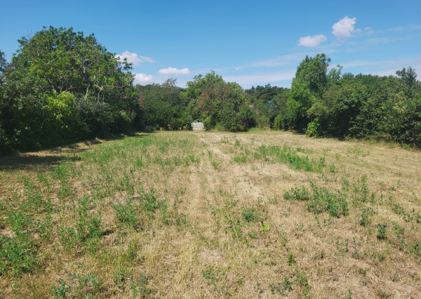 PREDAJ | Rovinatý pozemok s výmerou 2658 m² v obci Veľká Ida