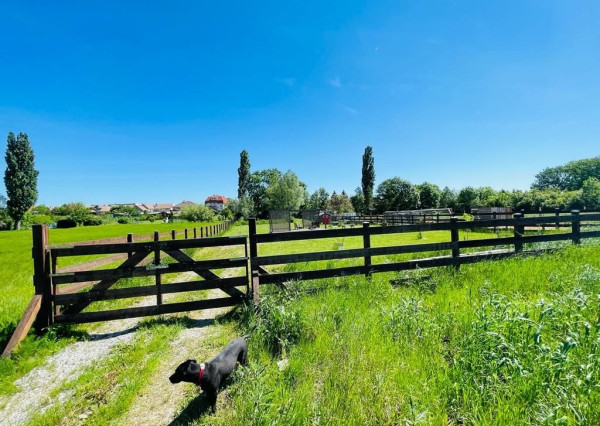 NOVÁ CENA ! VÝNIMOČNÝ POZEMOK V OBCI ŠTEFANOVÁ | 2 394 m²
