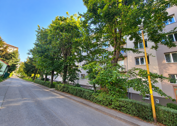 NOVÝ 3-IZBOVÝ BYT V SRDCI KOŠÍC | KISDYHO ULICA | 60 m²