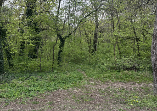 INVESTIČNÝ POZEMOK 473 m2 - Matúškovo